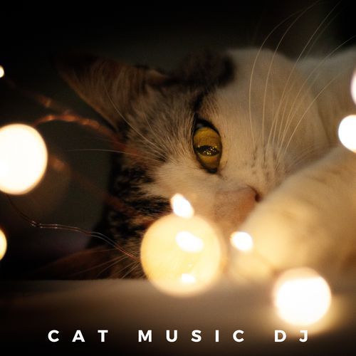 Cat Music Therapy cover art