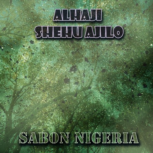 Sarkin Zazzau Shehu cover art