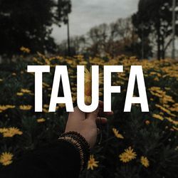 Taufa-OxgMVURCcgE