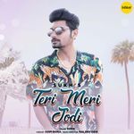 Teri Meri Jodi