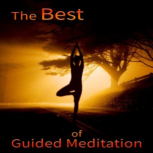 Buddha Tribe Music cover art
