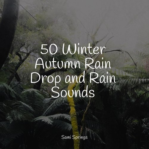 50 Winter Autumn Rain Drop and Rain Sounds_poster_image