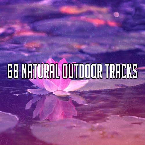 68 Natural Outdoor Tracks