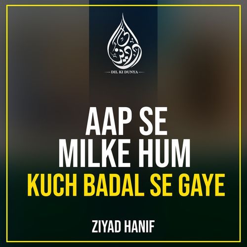 Aap Se Mil Ke Hum Kuch Badal Se Gaye