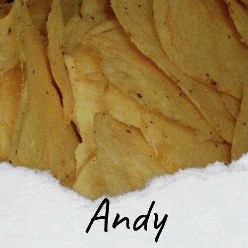 Andy cover art