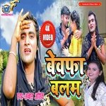 Bewafa  Balam (BHOJPURI)