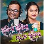 Bhulija Bhulija Mate Bhulija