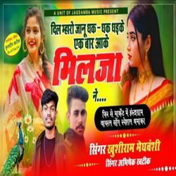 Dil Mharo Jaanu Dhak Dhak Dhadke Ek Baar Aake Milja Ne