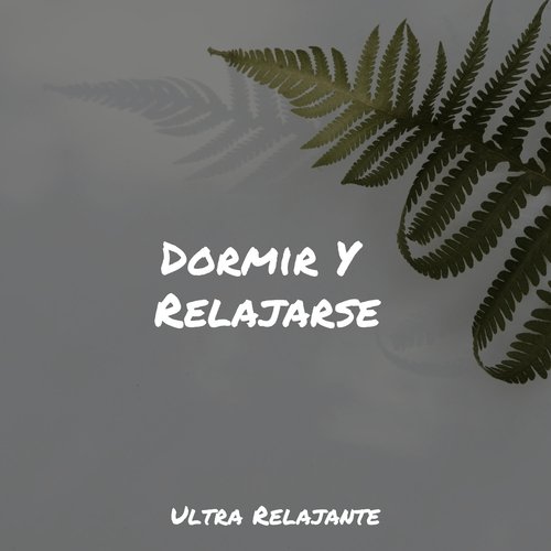Ligereza Y Suavidad cover art