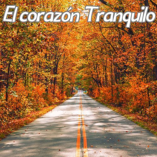 Calidez Musical cover art