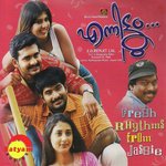 Veedellam (Karaoke Version)