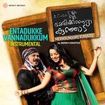Entadukke Vannadukkum (Instrumental)