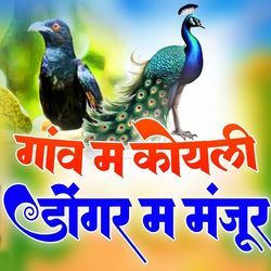 Gaon Me Koyali Dongri Ma Manjur-CSBbSSYID1c