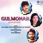 Gulmohar
