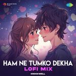 Ham Ne Tumko Dekha - LoFi Mix