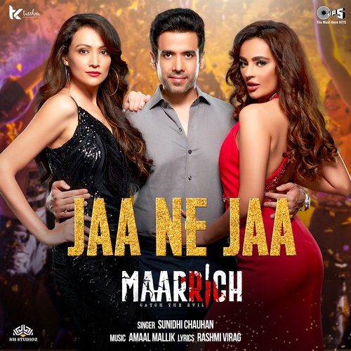 Jaa Ne Jaa (From "Maarrich")_poster_image