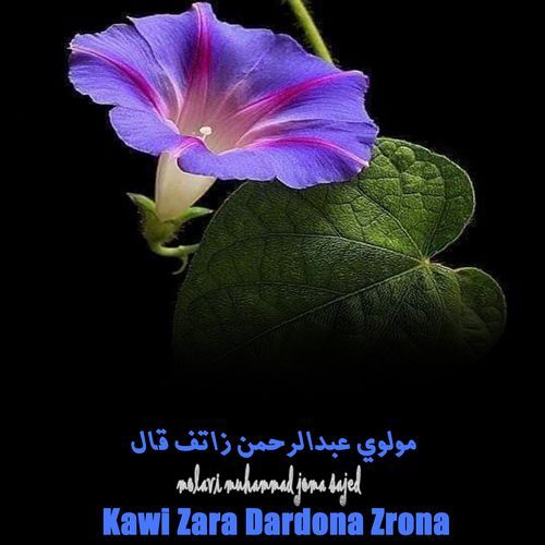 Kawi Zara Dardona Zrona