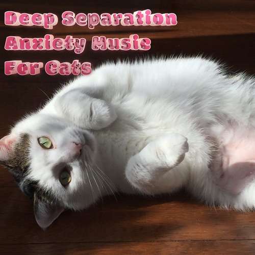 Cat Music Therapy cover art