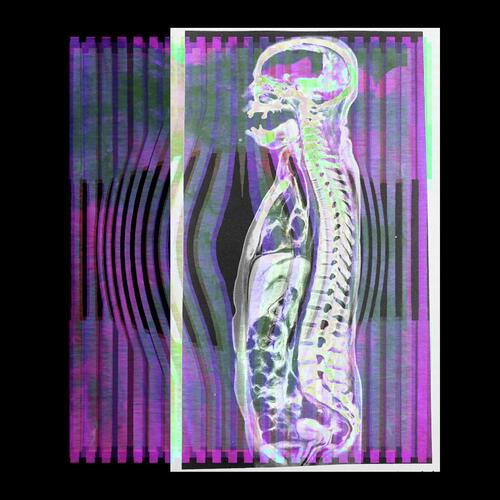 Eddie Van Geezer (Live) cover art