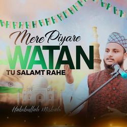 Mere Piyare Watan Tu Salamt Rahe-BwBTdidiQVU