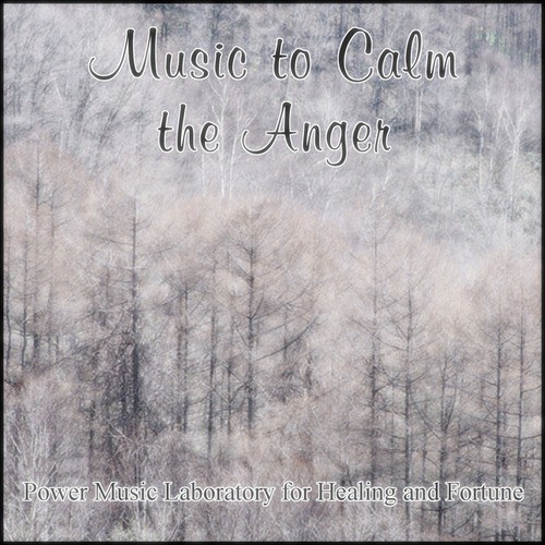 Music to Calm the Anger_poster_image