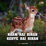 Naam Hai Hiran Kehte Hai Hiran