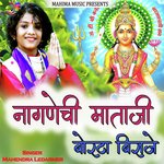 Nagnechi Mataji Borta Biraje