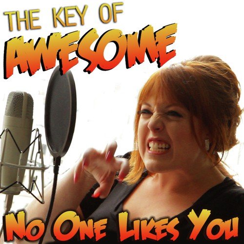 No One Likes You (Parody Of Adele's 