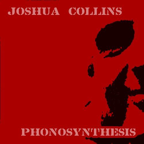 Phonosynthesis (Original Mix) cover art