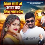 Piyar Saaree Mein Aha Bada Nik Laage Chheeye