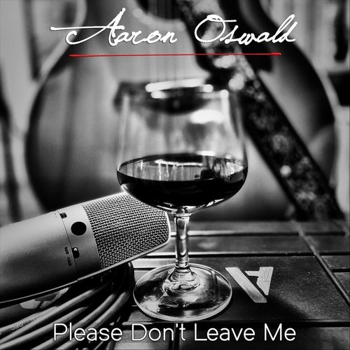 Please Don't Leave Me cover art