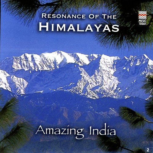 Resonance Of The Himalayas_poster_image