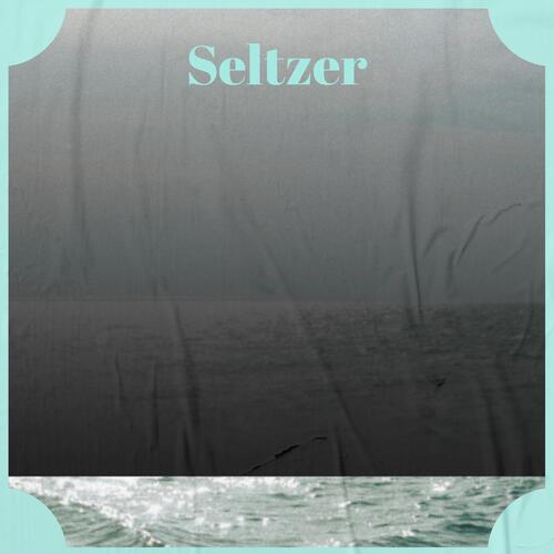 Seltzer cover art