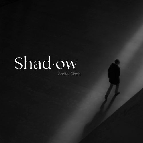 Shadow_poster_image