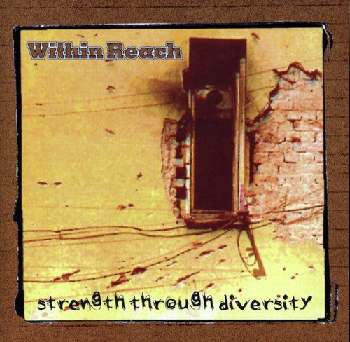 Strength Thru Diversity cover art