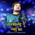 To Bhauni Ku Paibi Bhala