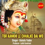 Tor Aankhi Le Chhalke Dai Wo
