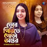 Tor Pirite Pura Anthor