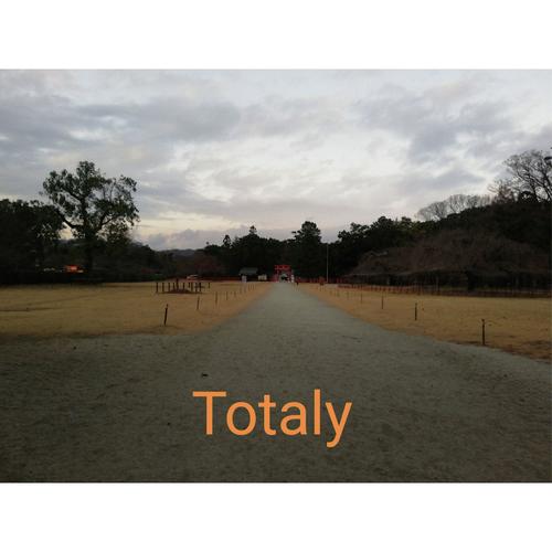 Christmas (Instrumental) cover art