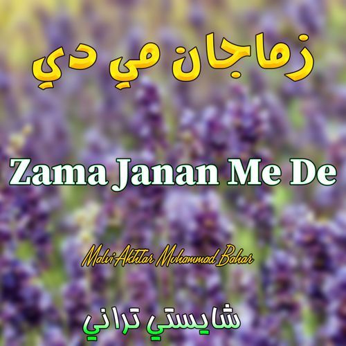 Zama Janan Me De