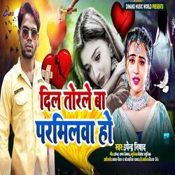dil torale ba prmilwa ho