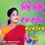 misti misti kotha koiya kaira nila mon