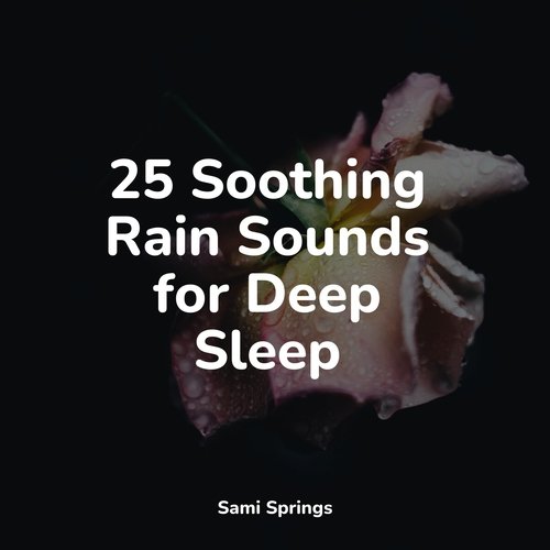 25 Summer Rain Sounds for Spa & Relaxation