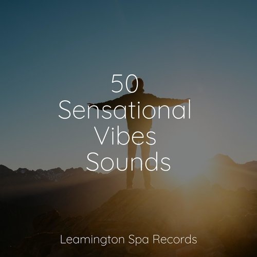 50 Sensational Vibes Sounds