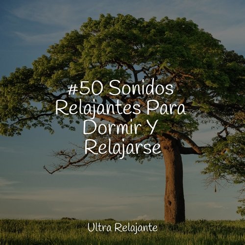 #50 Sonidos Relajantes Para Dormir Y Relajarse_poster_image