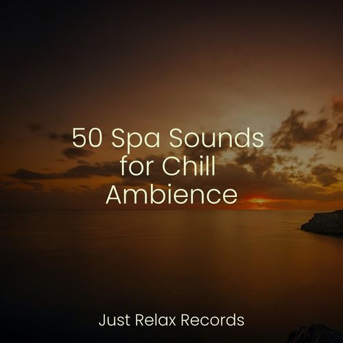 50 Spa Sounds for Chill Ambience_poster_image