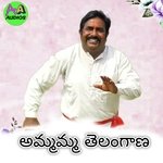 Ammamma Telangana