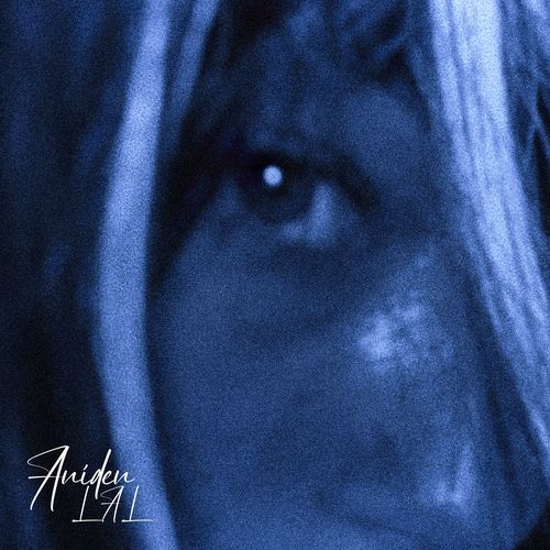 Aniden