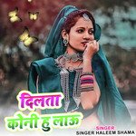 दिलता कोनी हु लाऊ