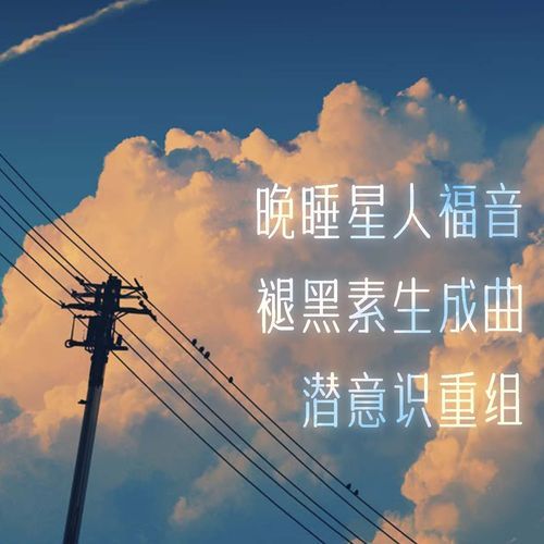 NO.6 夜晚 虫鸣 鸟叫 钢琴 助眠 cover art